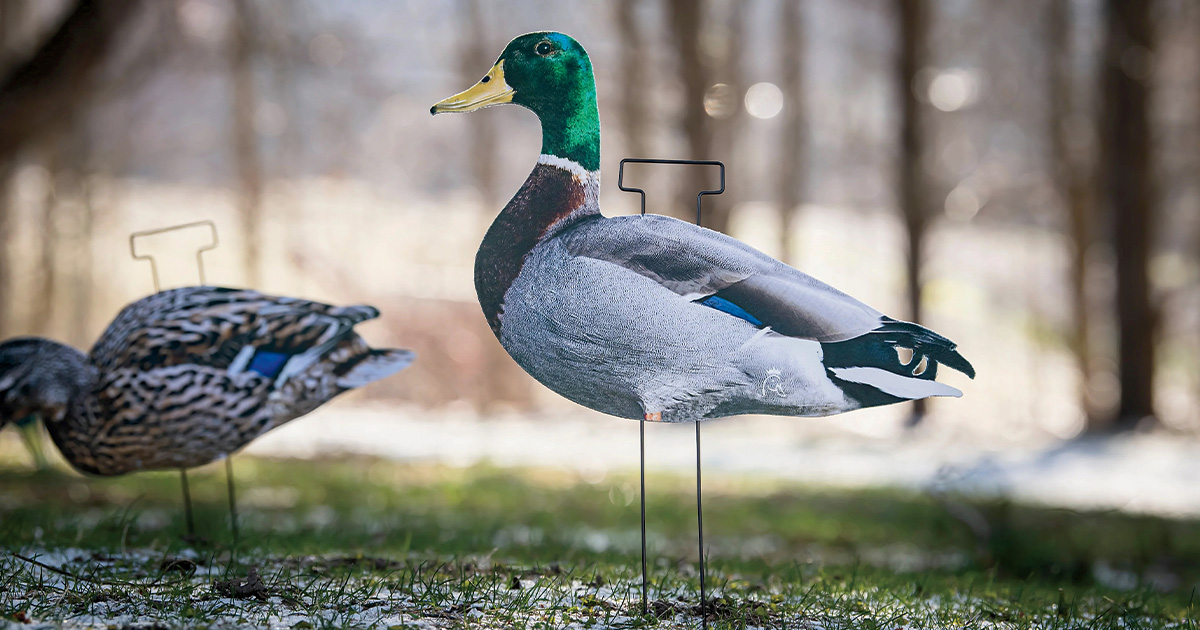 New Guns and Gear for 2026: Duck and Goose Decoys