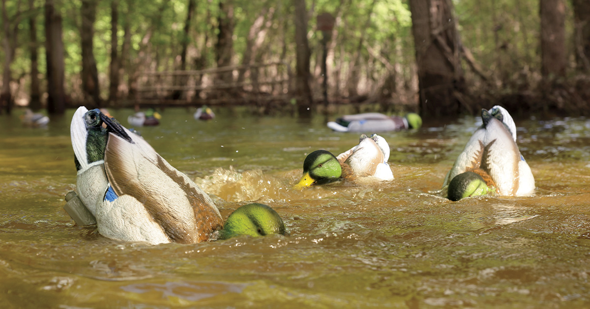 New Guns and Gear for 2026: Duck and Goose Decoys