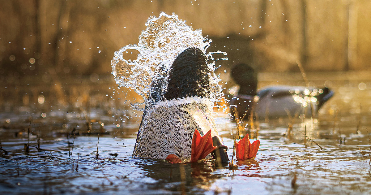 New Guns and Gear for 2026: Duck and Goose Decoys