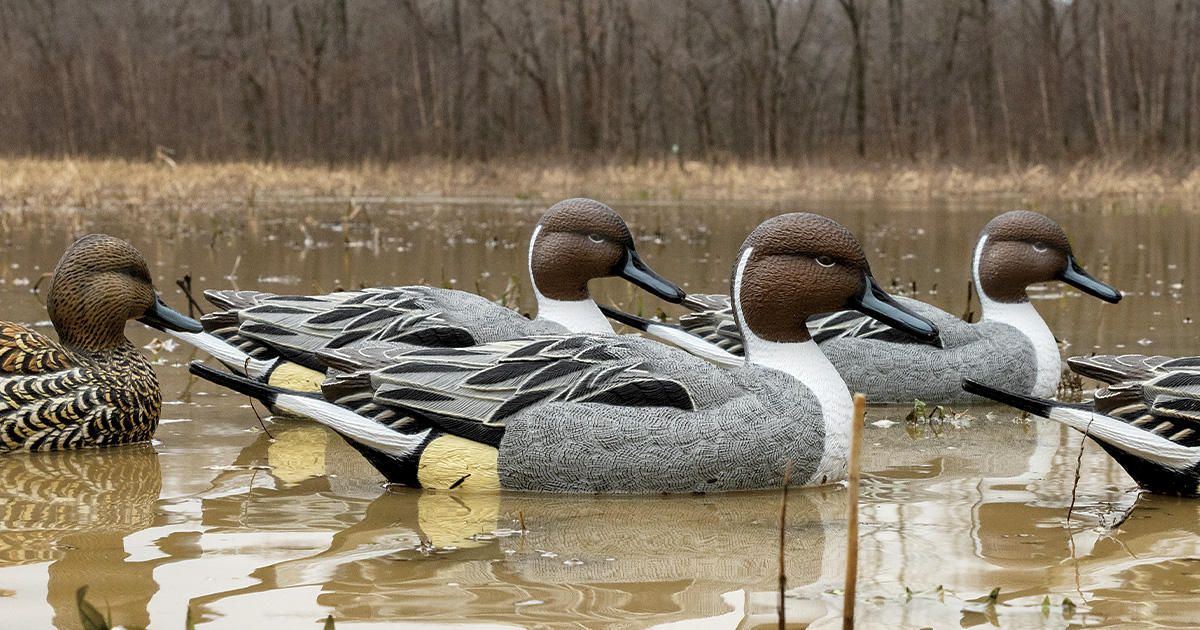 New Guns and Gear for 2026: Duck and Goose Decoys
