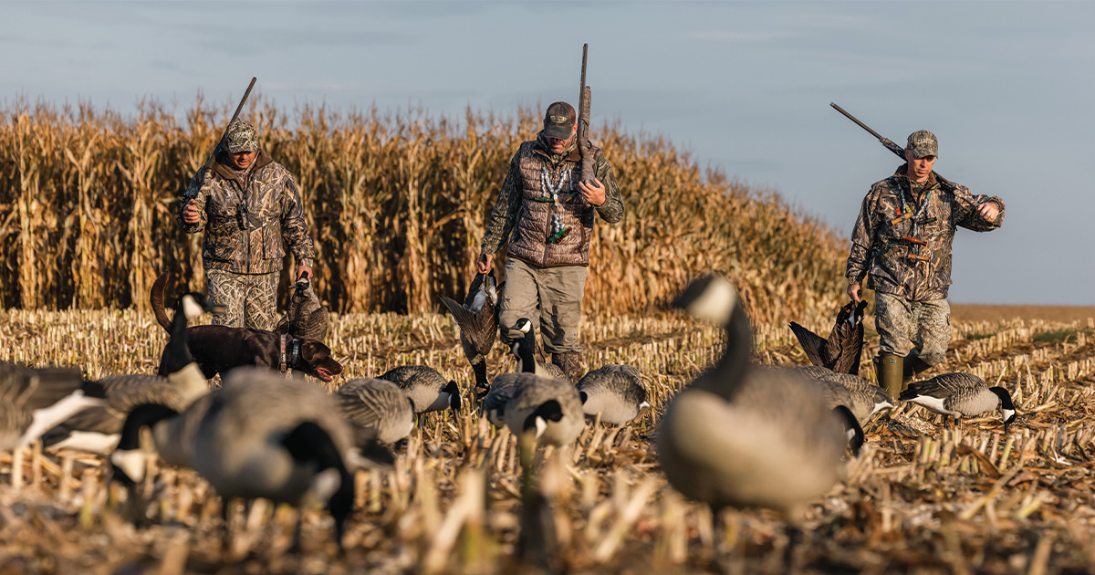 Image for August Gear Guide: Prepare for Early-Season Success