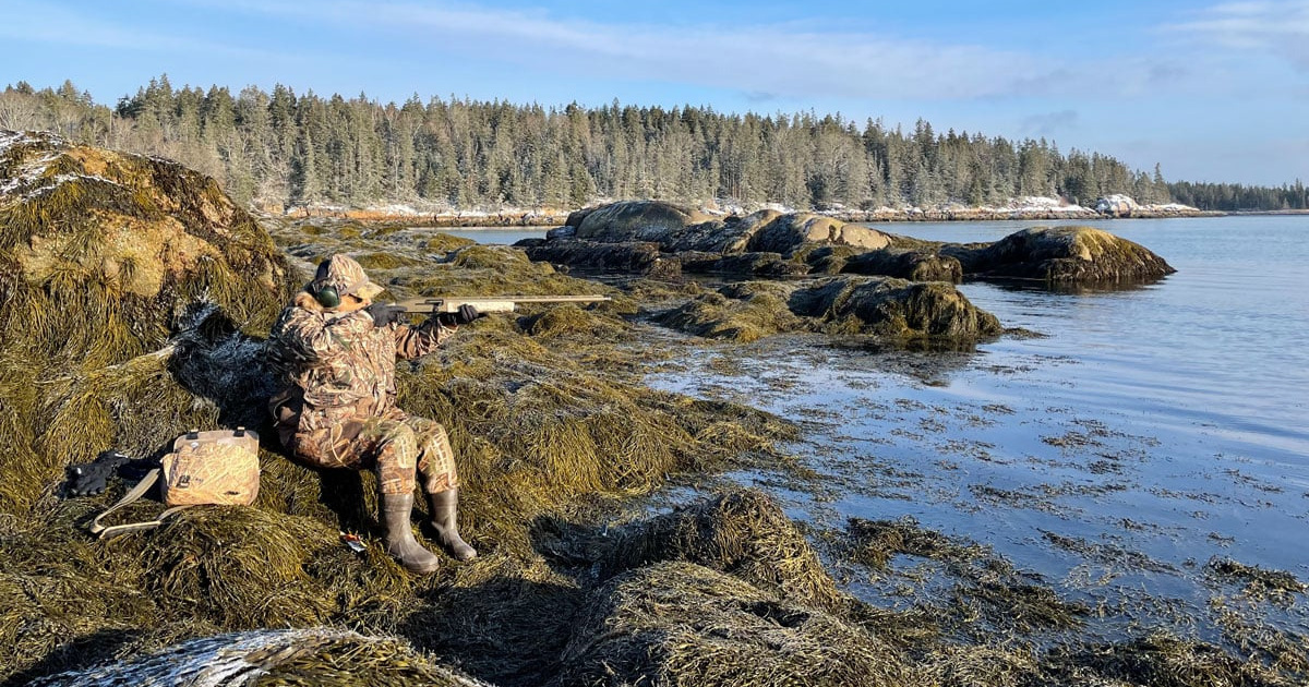 Great Duck Hunting Shotguns for Any Budget and Shooting Style