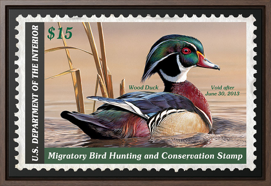 Federal Duck Stamp Canvas Artwork.jpg