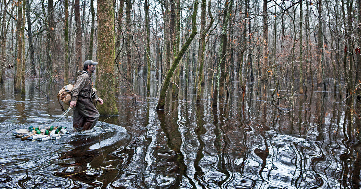 Todd J. Steele_TimberFlooded.jpg