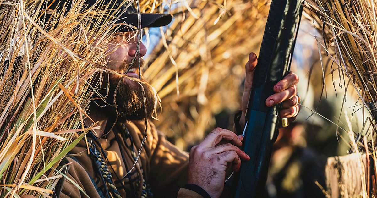 How to Hide an A-Frame Like a Pro