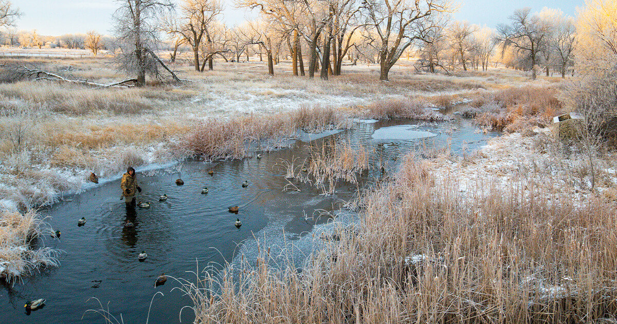 Hot Spots for Late-Season Ducks