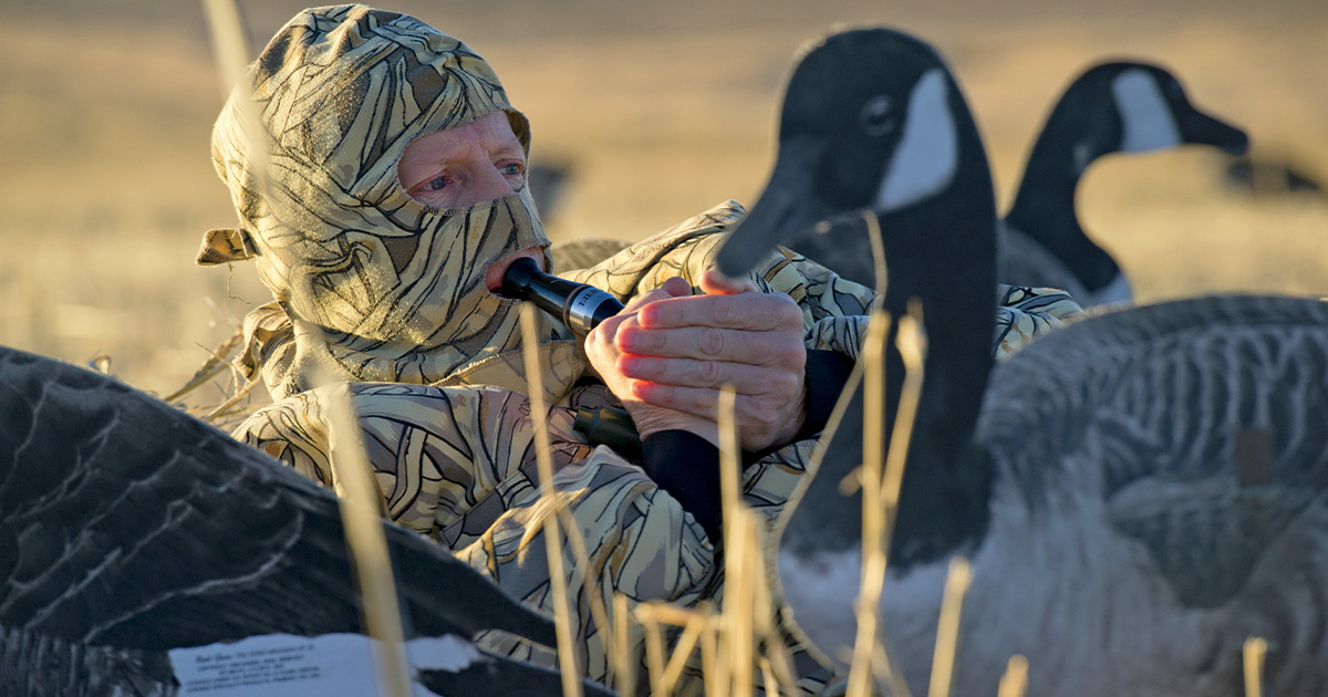 BillBuckleyphotography_calling.jpg