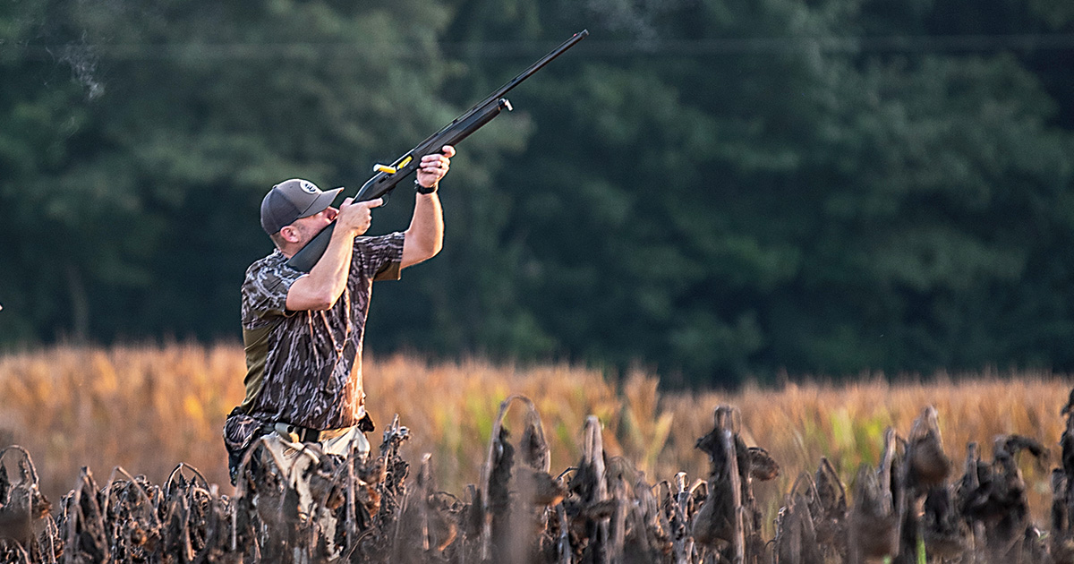 Waterfowler's Journal: Dreaming of Doves