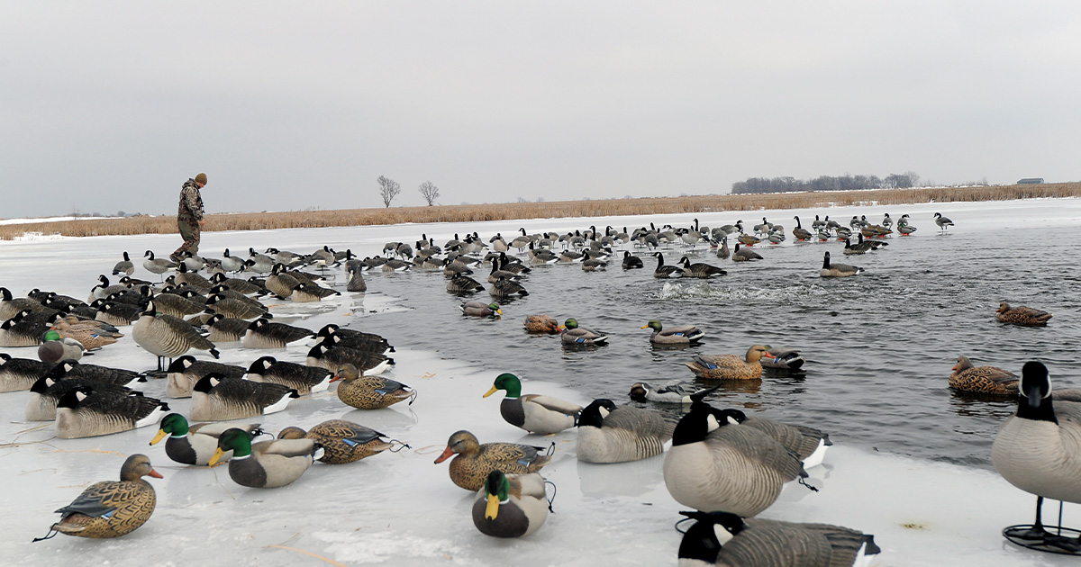 Waterfowler's Journal: Fighting Ice
