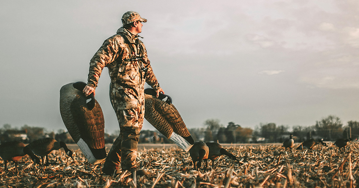 Waterfowler's Journal: Homegrown Honkers