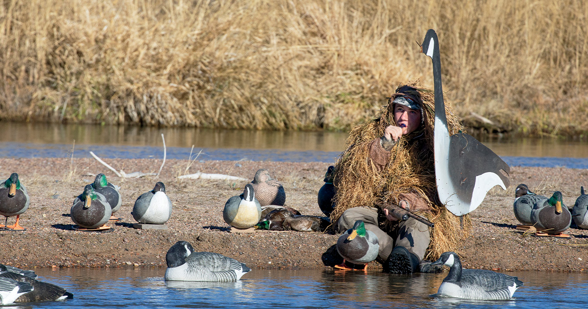 How to brush a duck blind