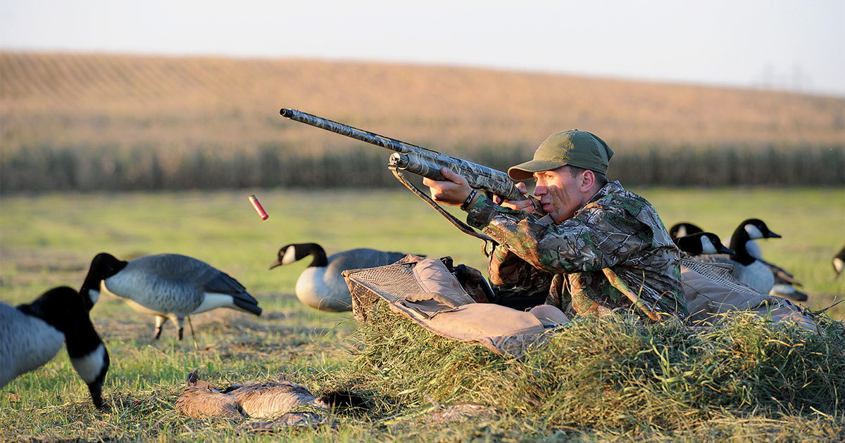 JImThompson_EarlyGoose.jpg