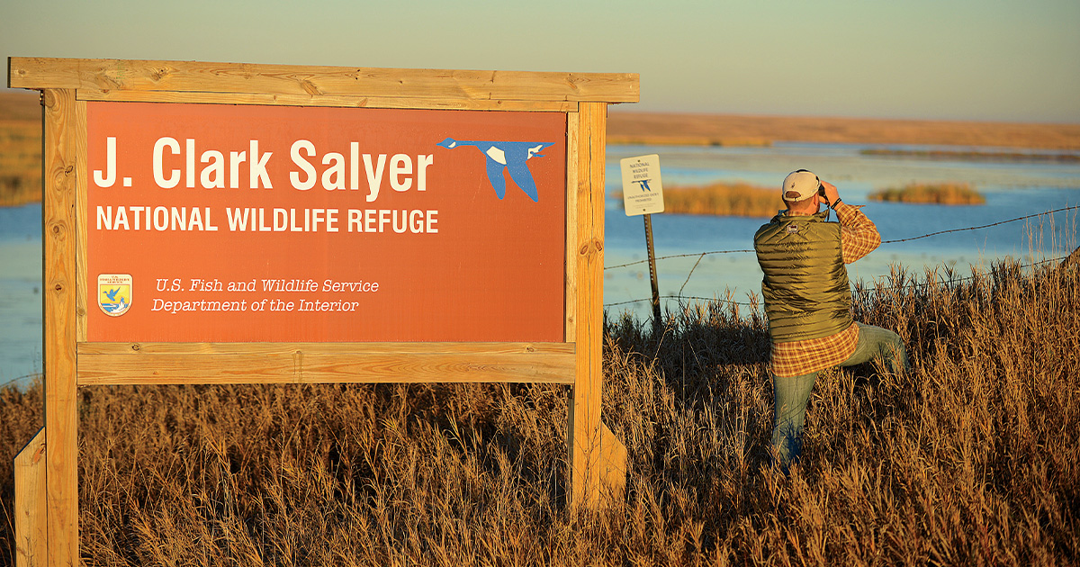 Waterfowler's World: Scouting Smart