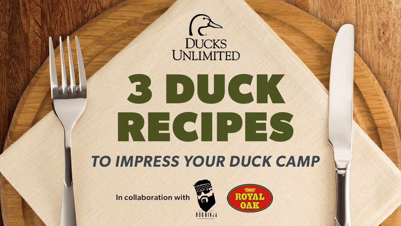 3_duck_recipes.png