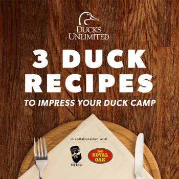 3 Duck Recipes to Try This Season