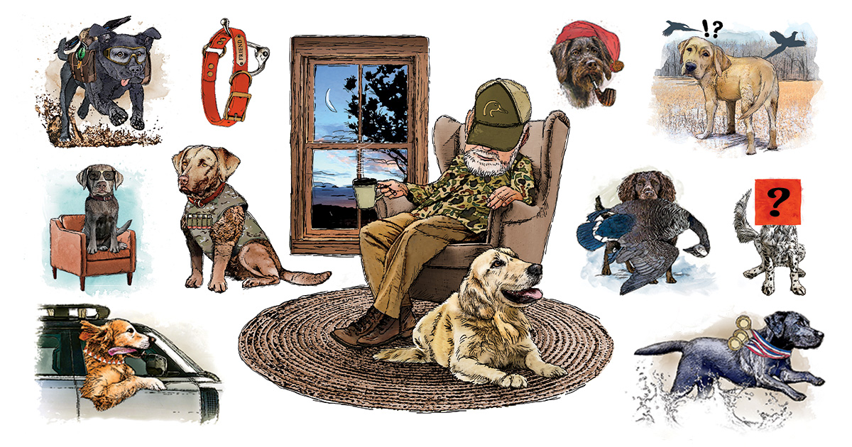 Waterfowling's Canine Cast of Characters