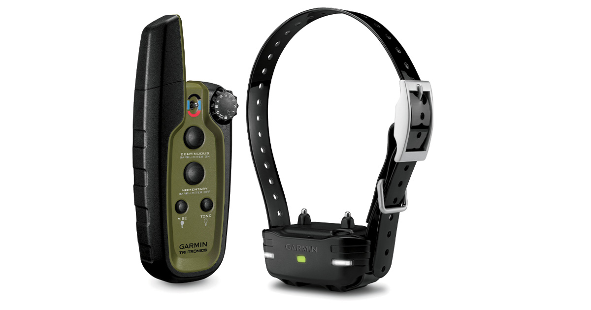 Gearing Up: Spring Retriever Training Essentials