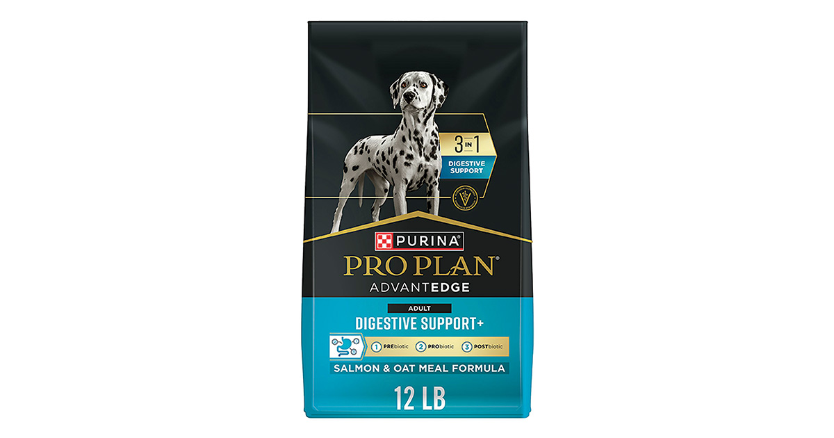 Gearing Up: Spring Retriever Training Essentials