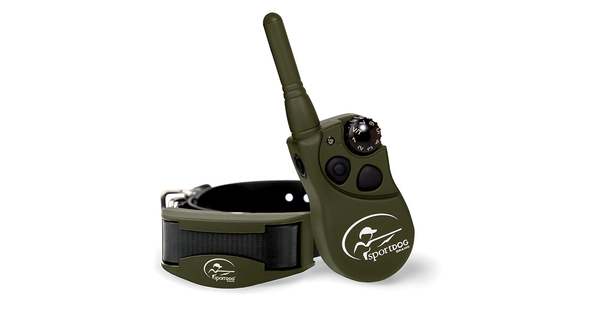 Gearing Up: Spring Retriever Training Essentials