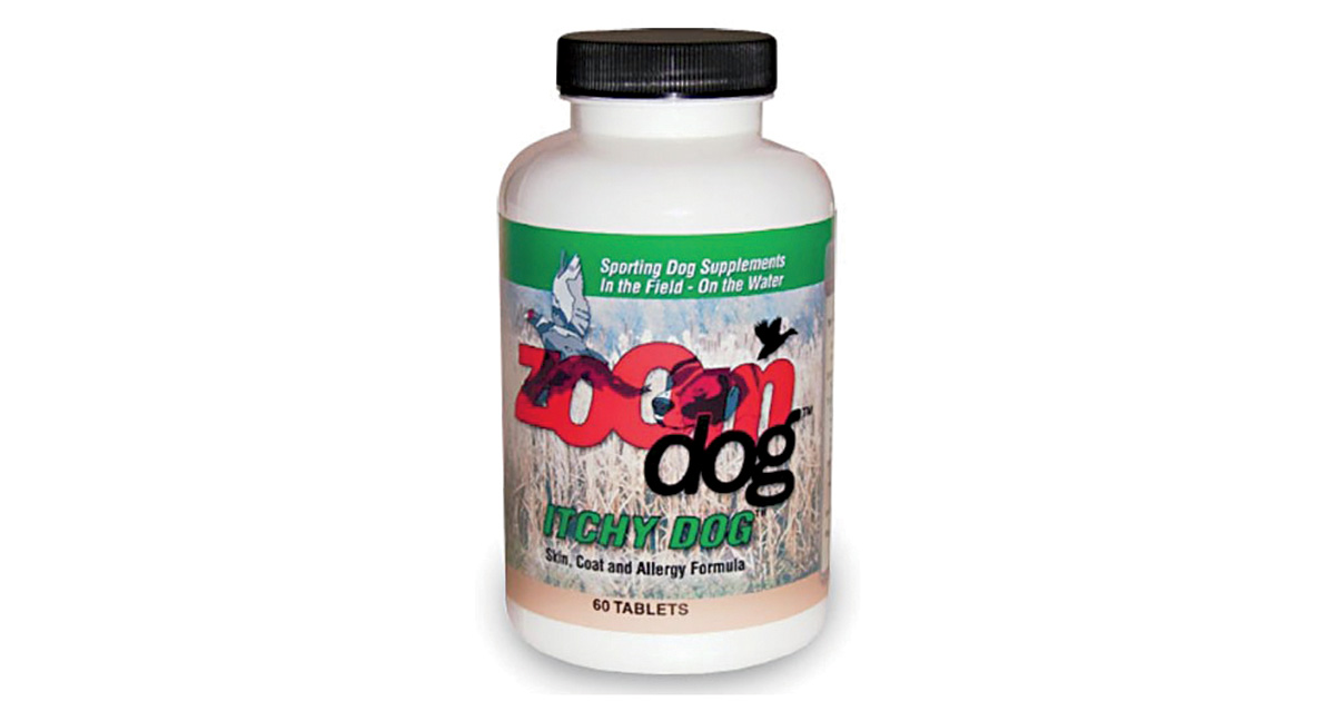 Gearing Up: Spring Retriever Training Essentials