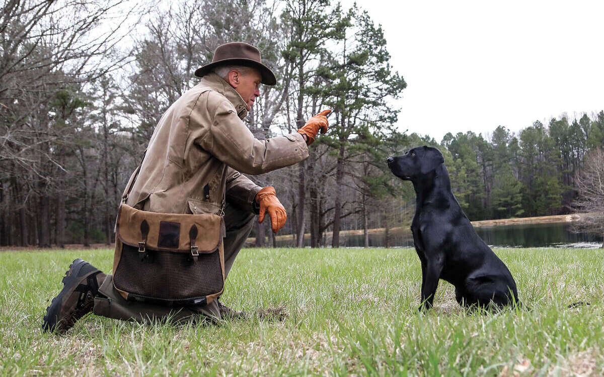 How to Talk to Your Retriever