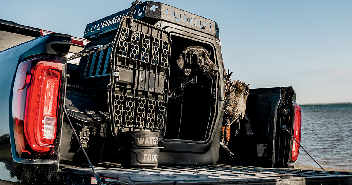 On the Road with Your Retriever