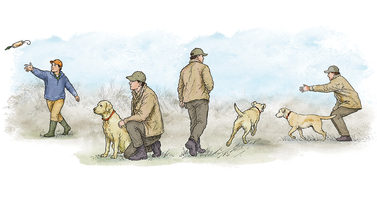 Image for Retrievers: Memory Drills