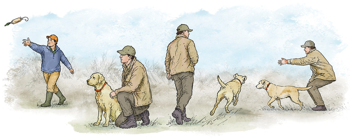Retrievers: Memory Drills