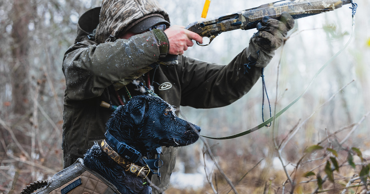 Retriever Game Plan