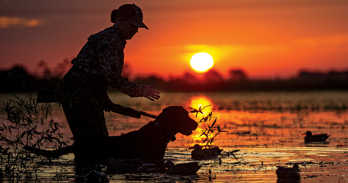 Image for Retriever Game Plan
