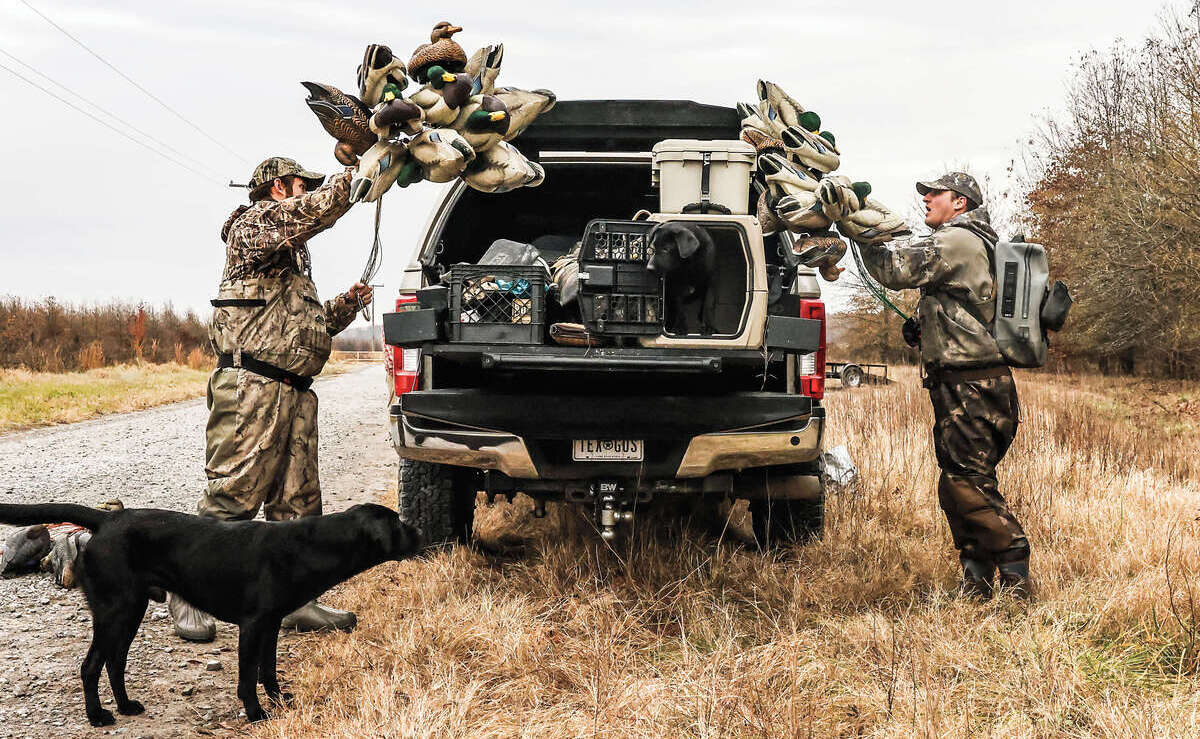 Retrievers: On the Road Again