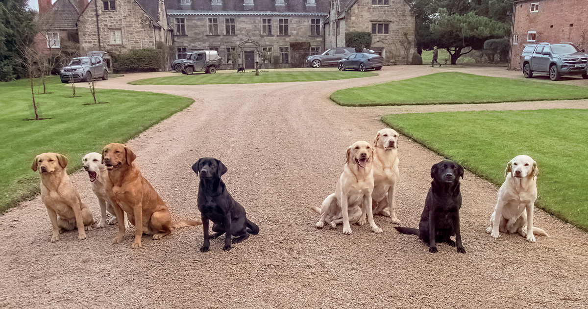 Story of the Lab, Part 1