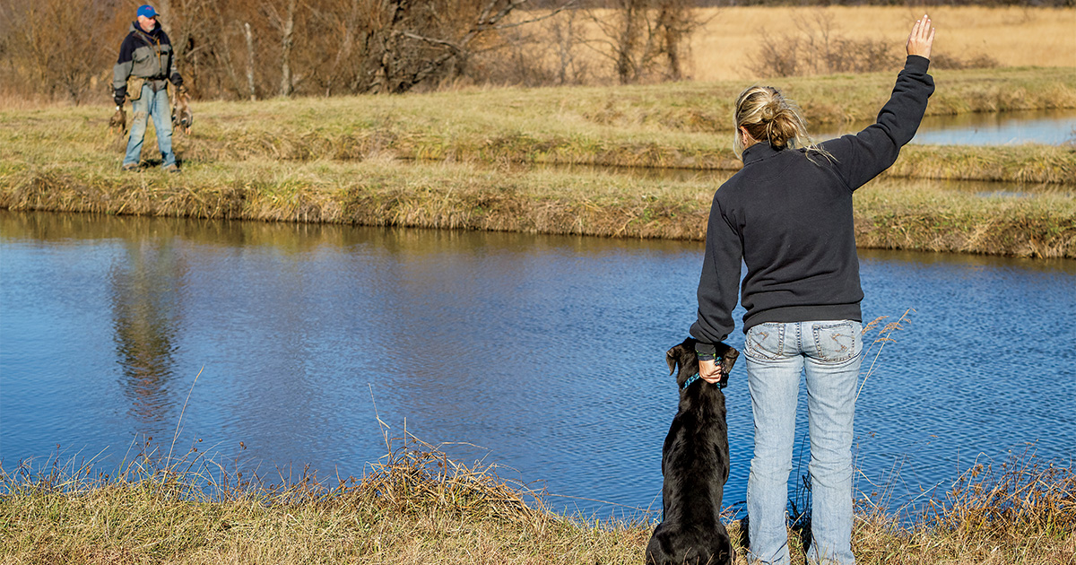 Retrievers: The Long Run