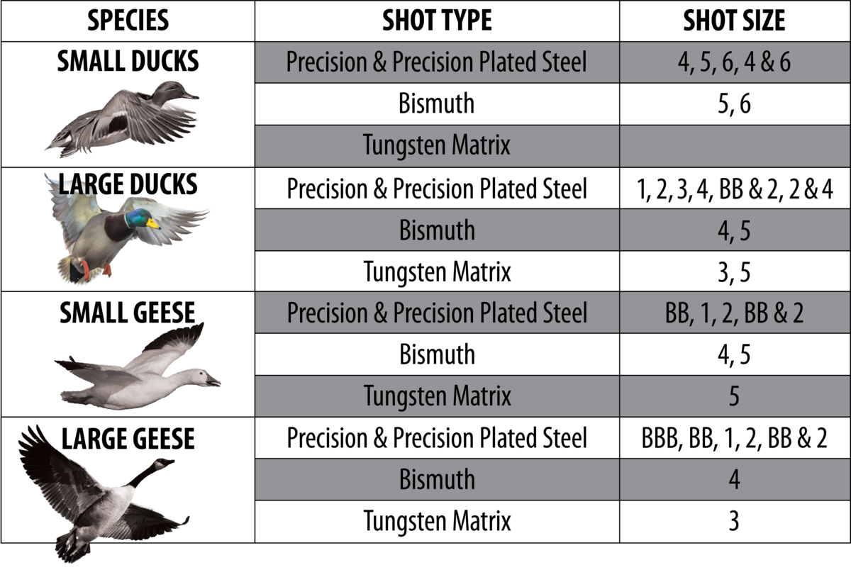 Lead to Steel Shot Conversion (Choke Charts)