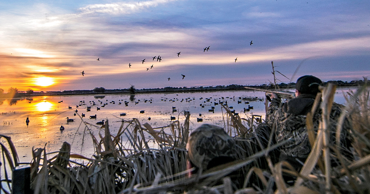 Shotgunning: Making a Duck Hunter
