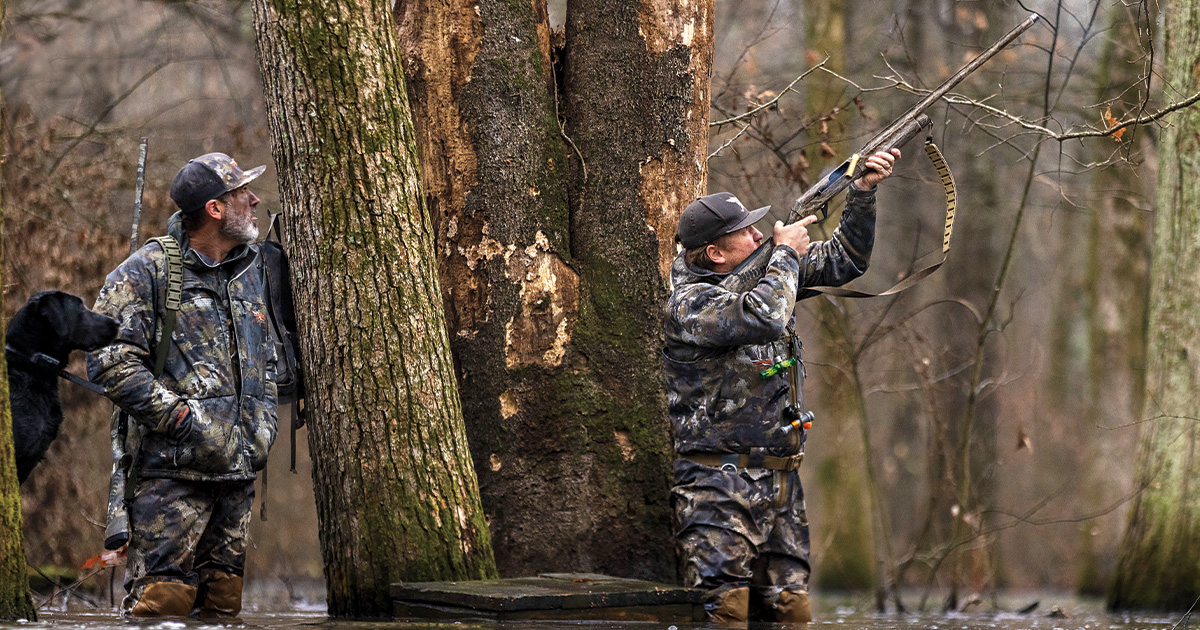 Shotgunning: Tips for the Timber