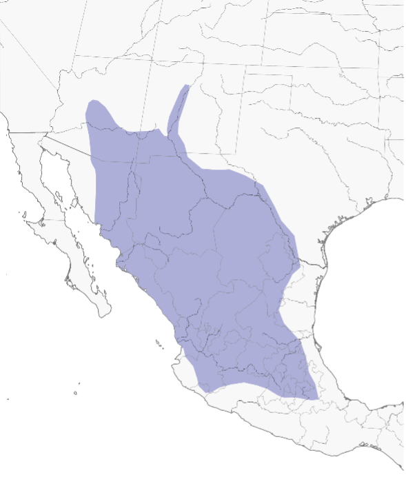Mexican Duck Area.png