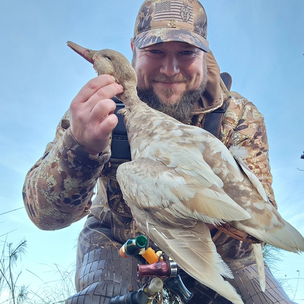 The First Genetically Documented Leucistic American Black Duck