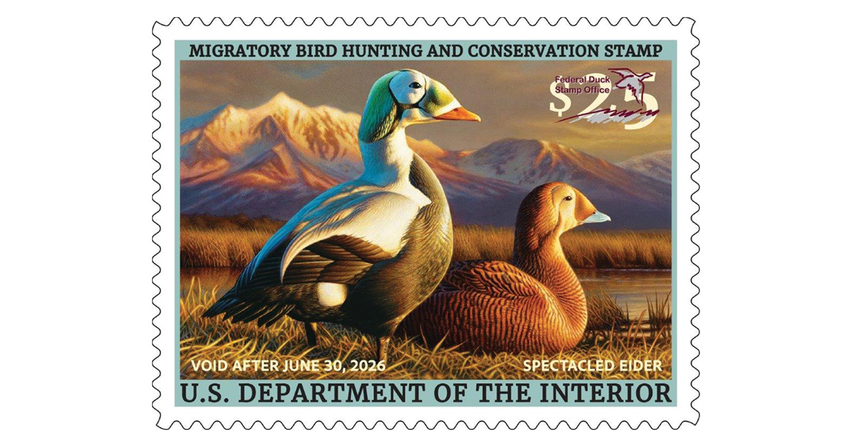 Ducks Unlimited and Partners Celebrate 2025-2026 Federal Duck Stamp First Day of Sale