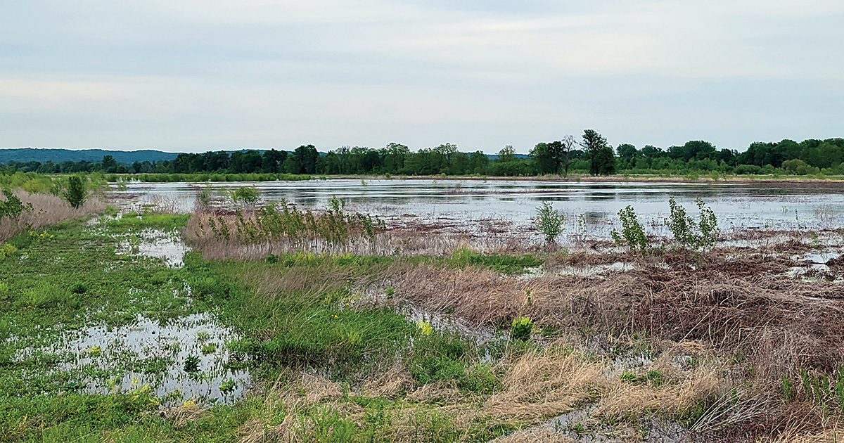 Two Rivers NWR.jpg