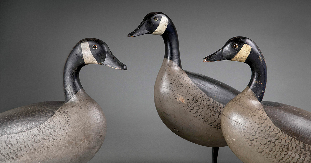 New Exhibit Celebrates the Canada Goose