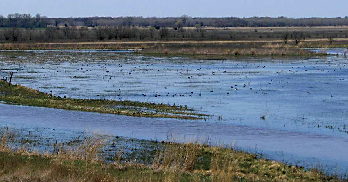 NextEra Energy Foundation Funds Oklahoma Conservation Work