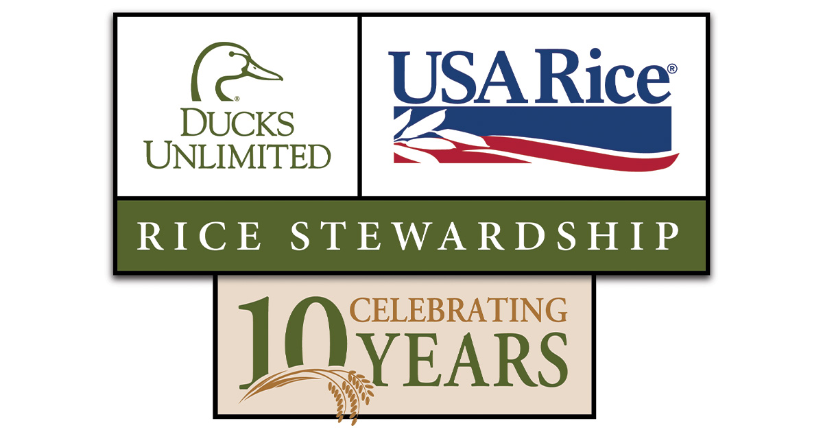 Rice Stewardship Partnership Celebrates 10 Years of Success