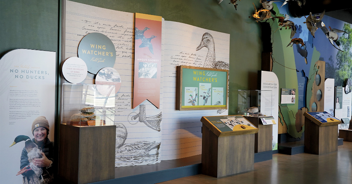 Forever a Teacher: Linda White’s  Gift to Ducks Unlimited