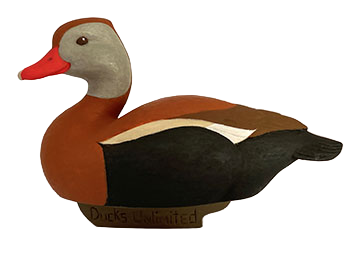 Black-Bellied Whistling Duck
