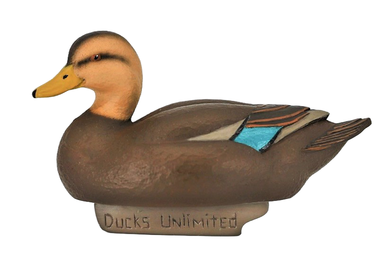 Mottled Duck