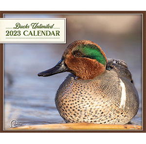 2023 Calendar