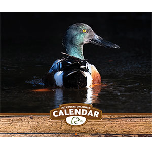 2025 Calendar