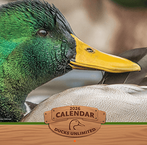 2026 Calendar