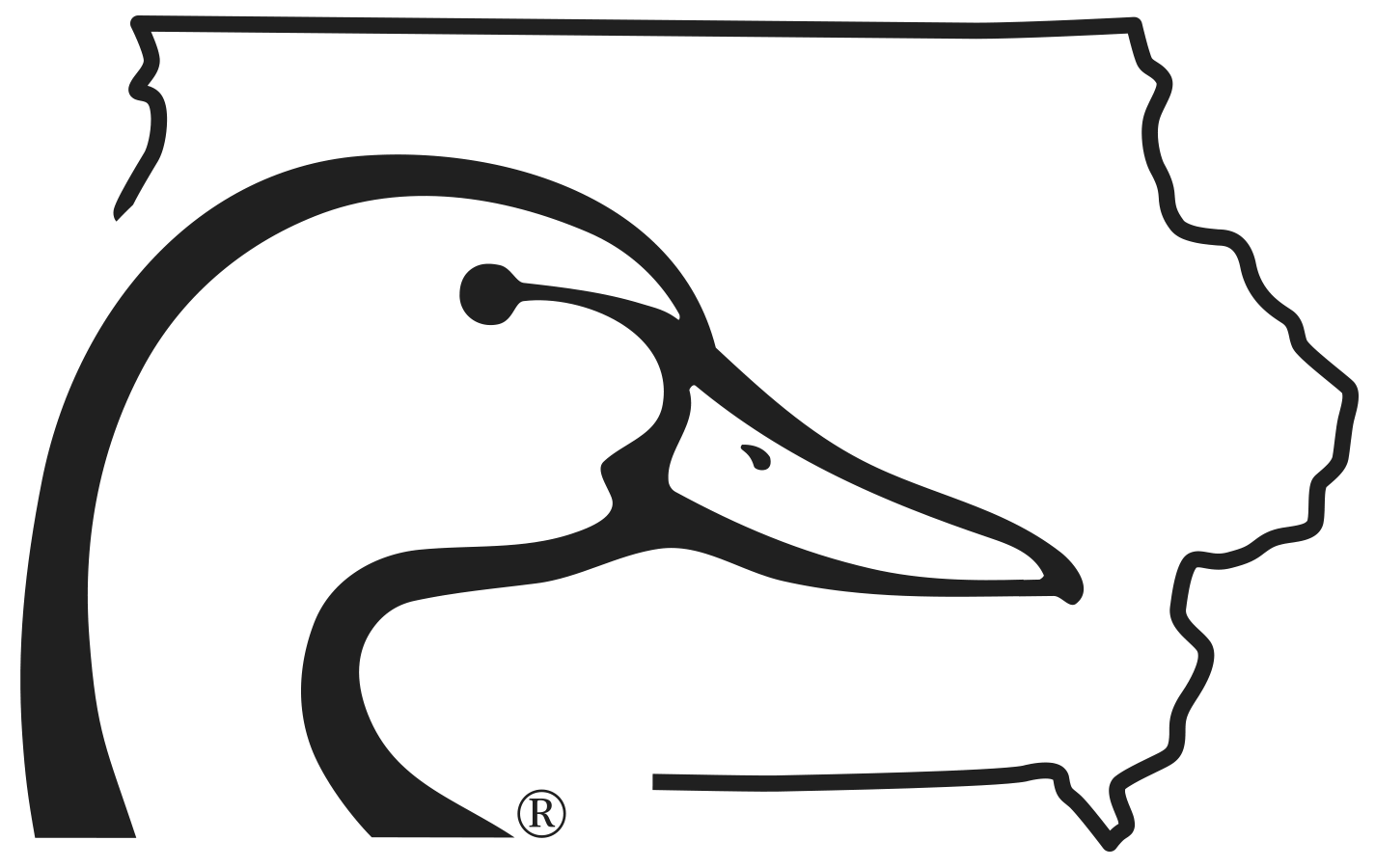 Iowa DU Logo